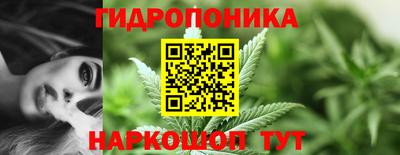 мескалин Кингисепп